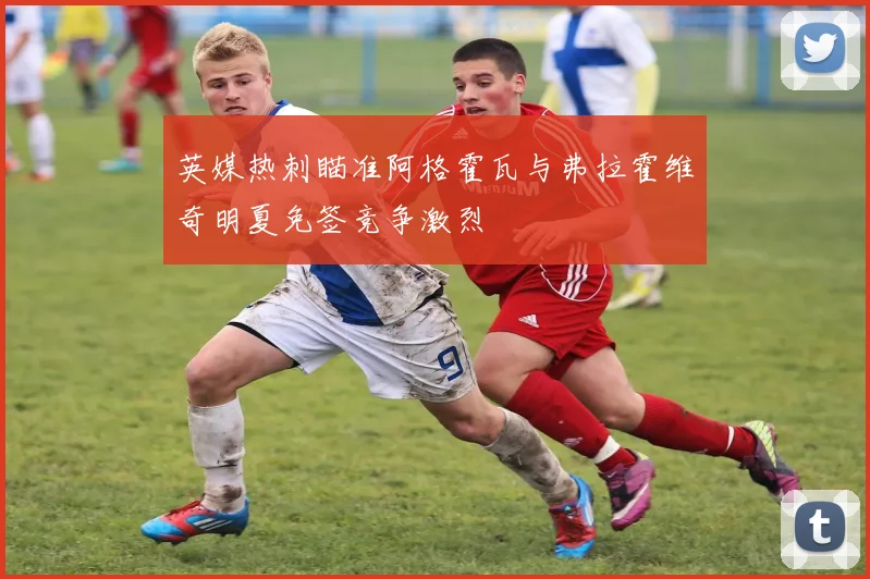 英媒热刺瞄准阿格霍瓦与弗拉霍维奇明夏免签竞争激烈