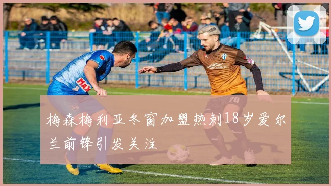 梅森梅利亚冬窗加盟热刺18岁爱尔兰前锋引发关注