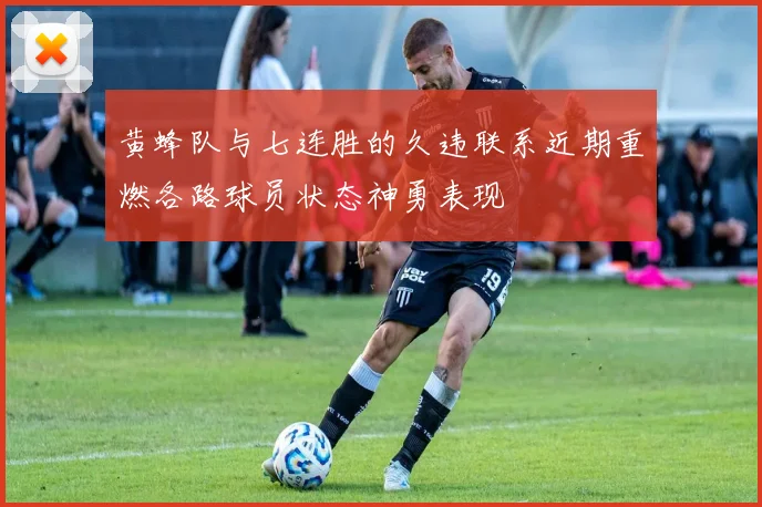 黄蜂队与七连胜的久违联系近期重燃各路球员状态神勇表现