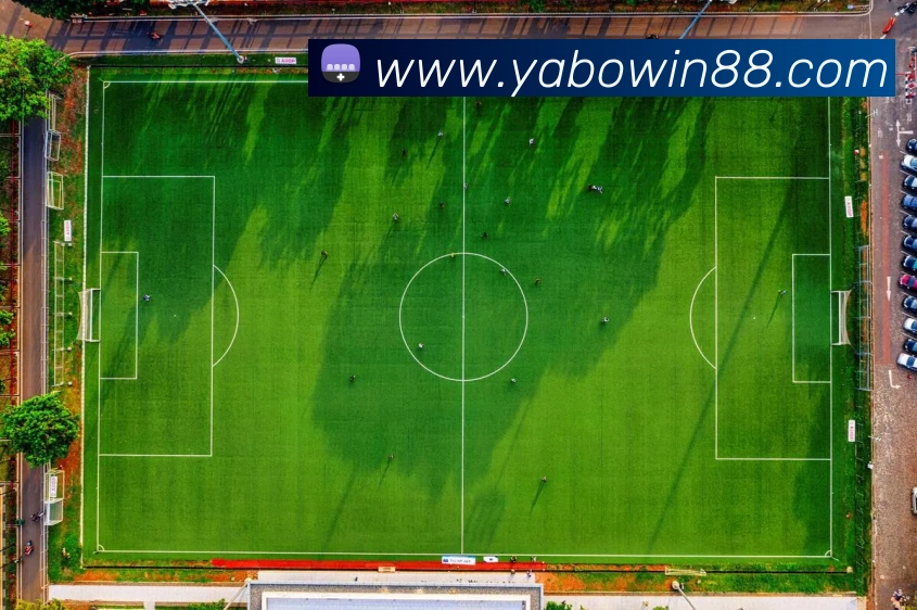 亚博体育APP 封面图